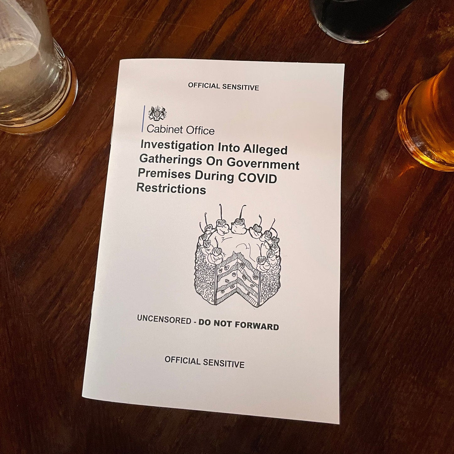 Sue Gray's Partygate Report - Anti Tory Zine & Political Gift